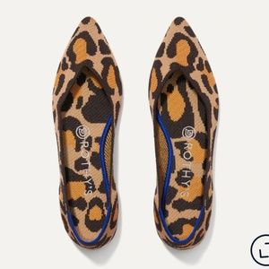 Rothy’s Big Cat “the point” shoe